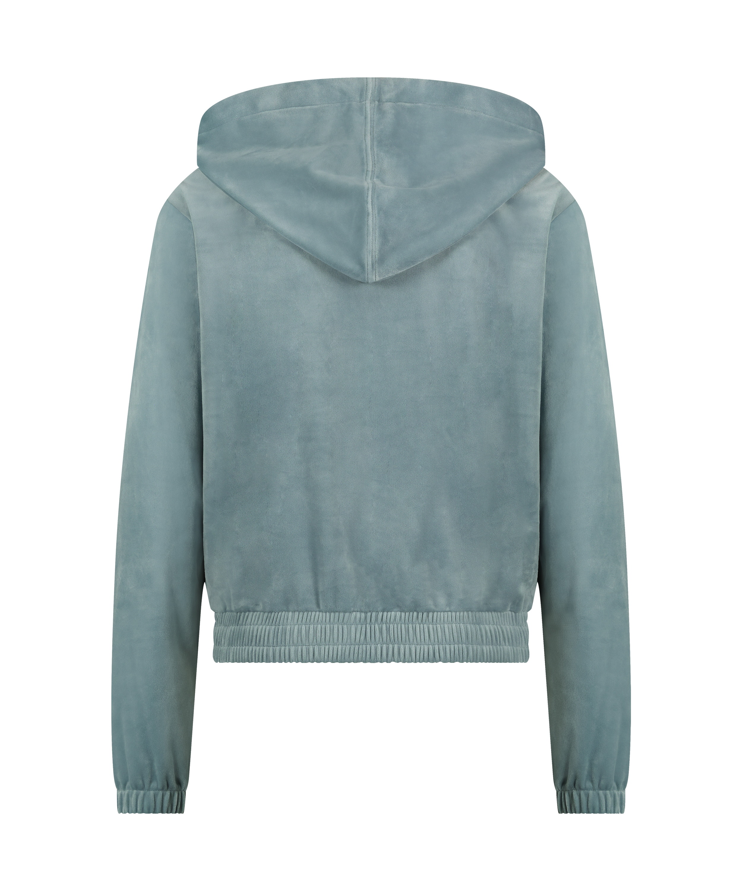 Hoodiejacka i velour, Blå, main