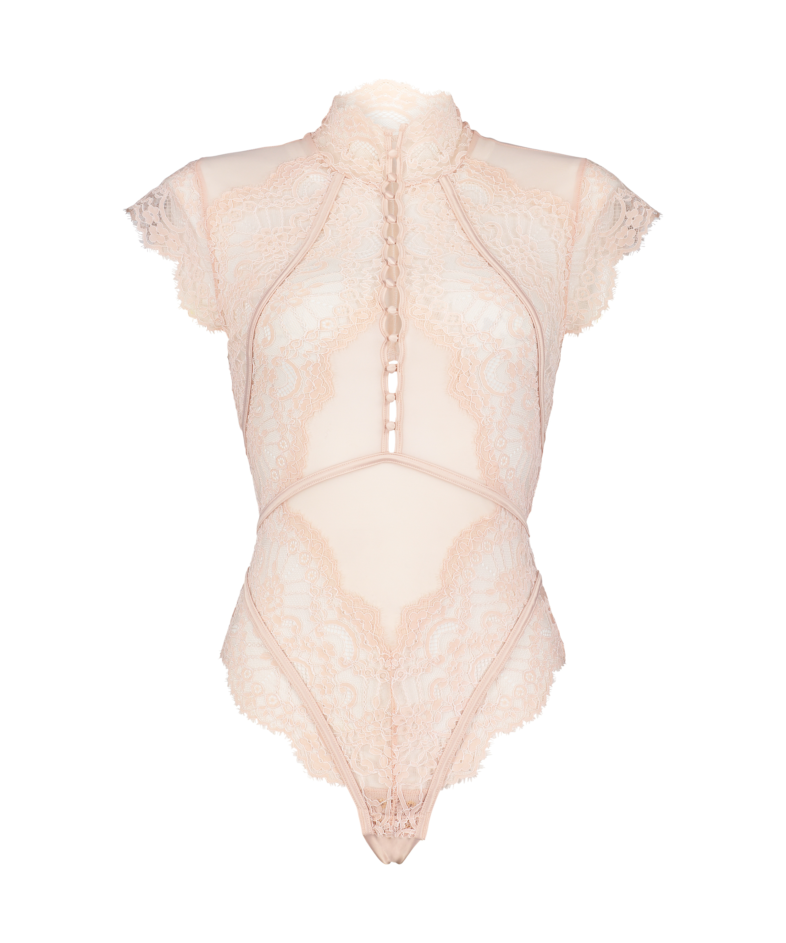 Amelia Body, Rosa, main