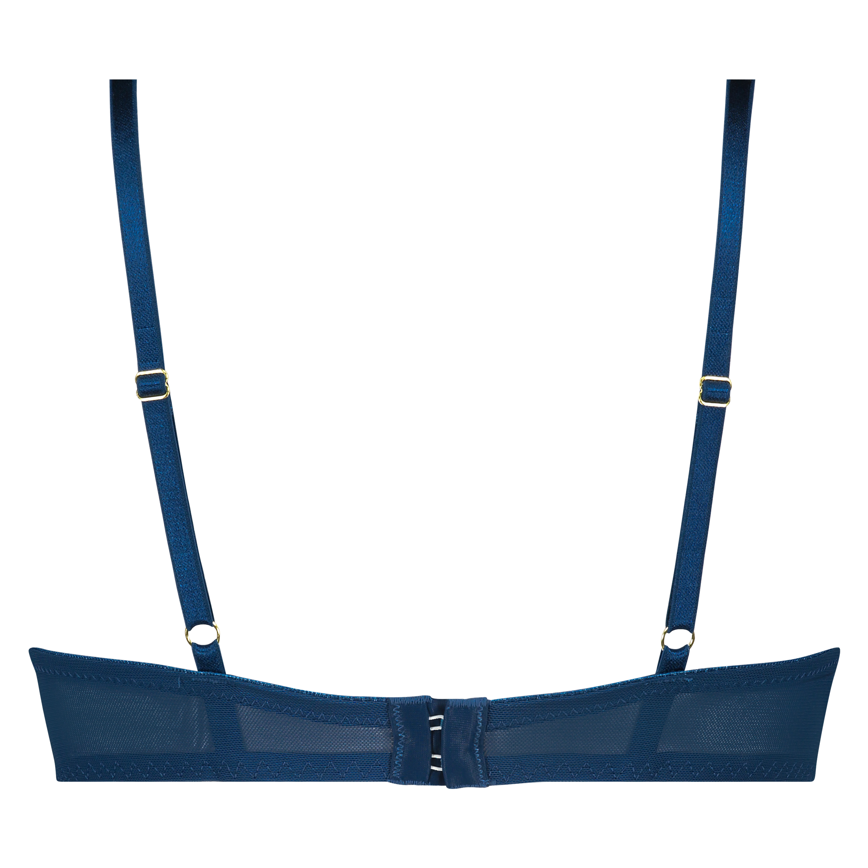 Formpressad maximizer-bh med bygel Louise, Blå, main
