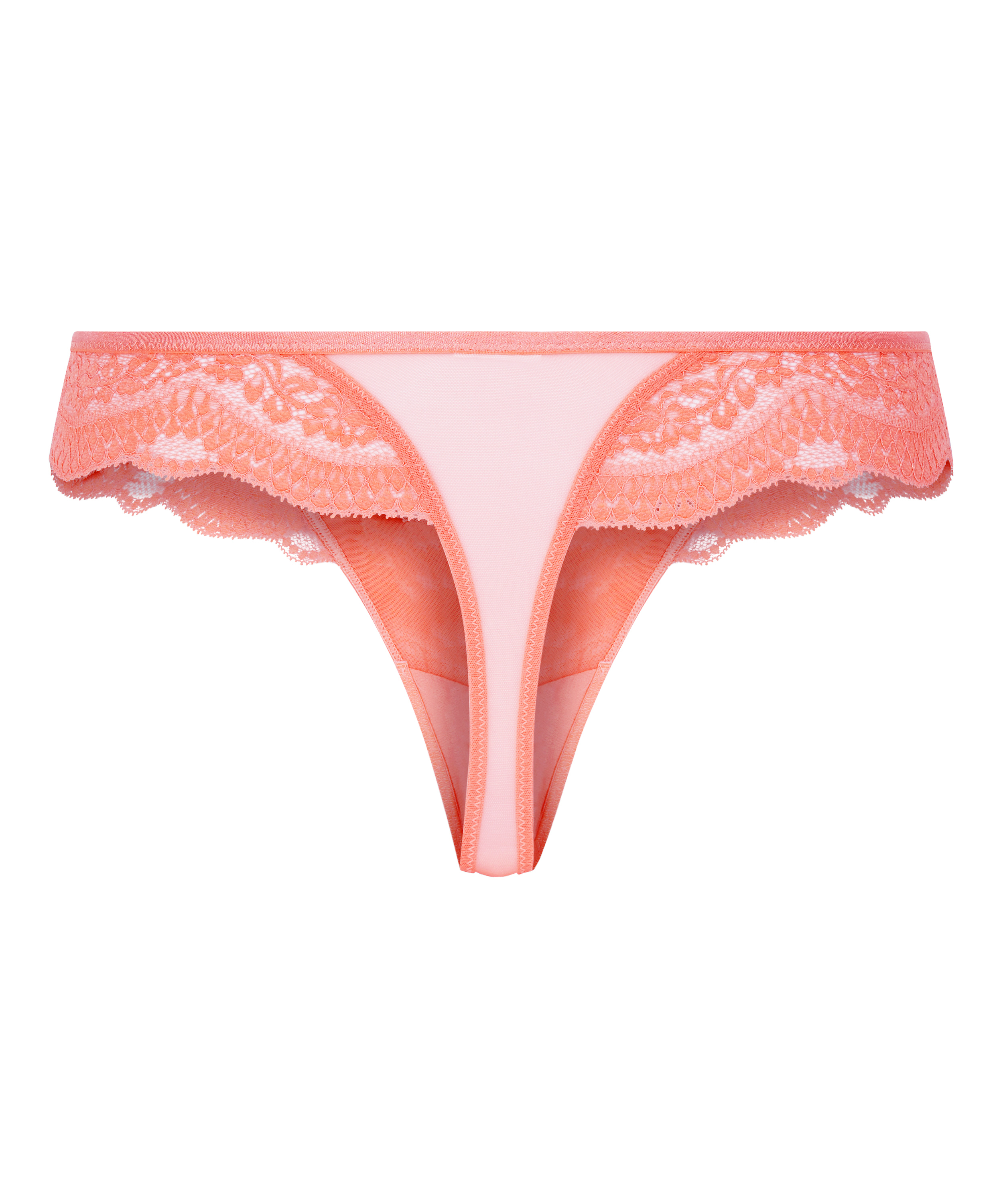 Robijn stringtrosa, Rosa, main