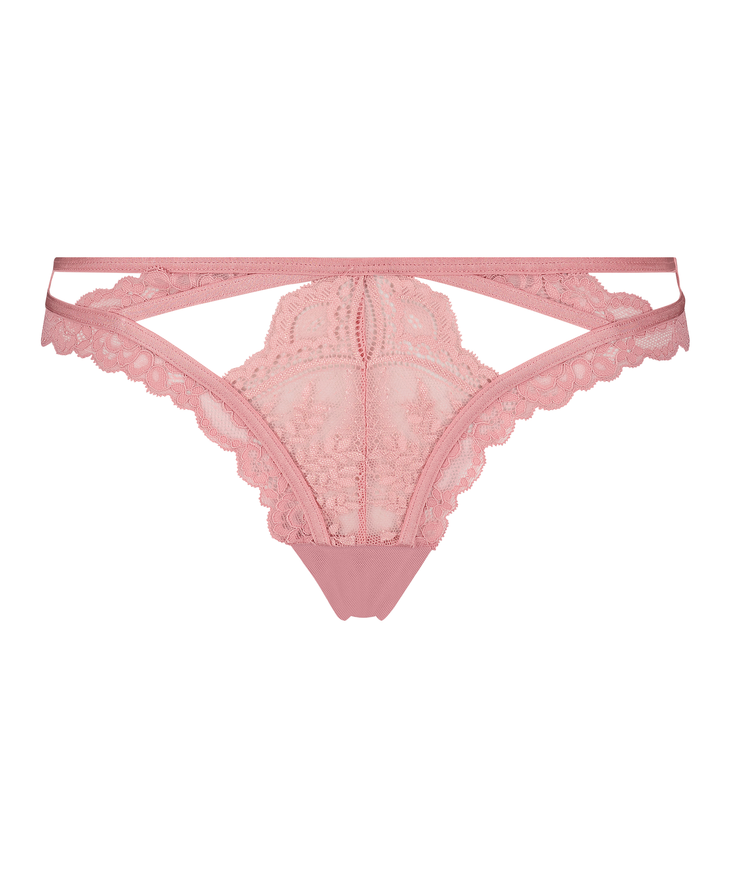 Cia stringtrosa, Lila, main