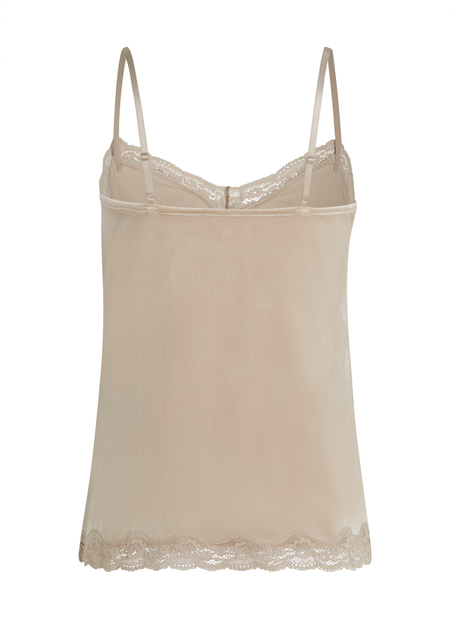 Sammet-spetslinne, Beige