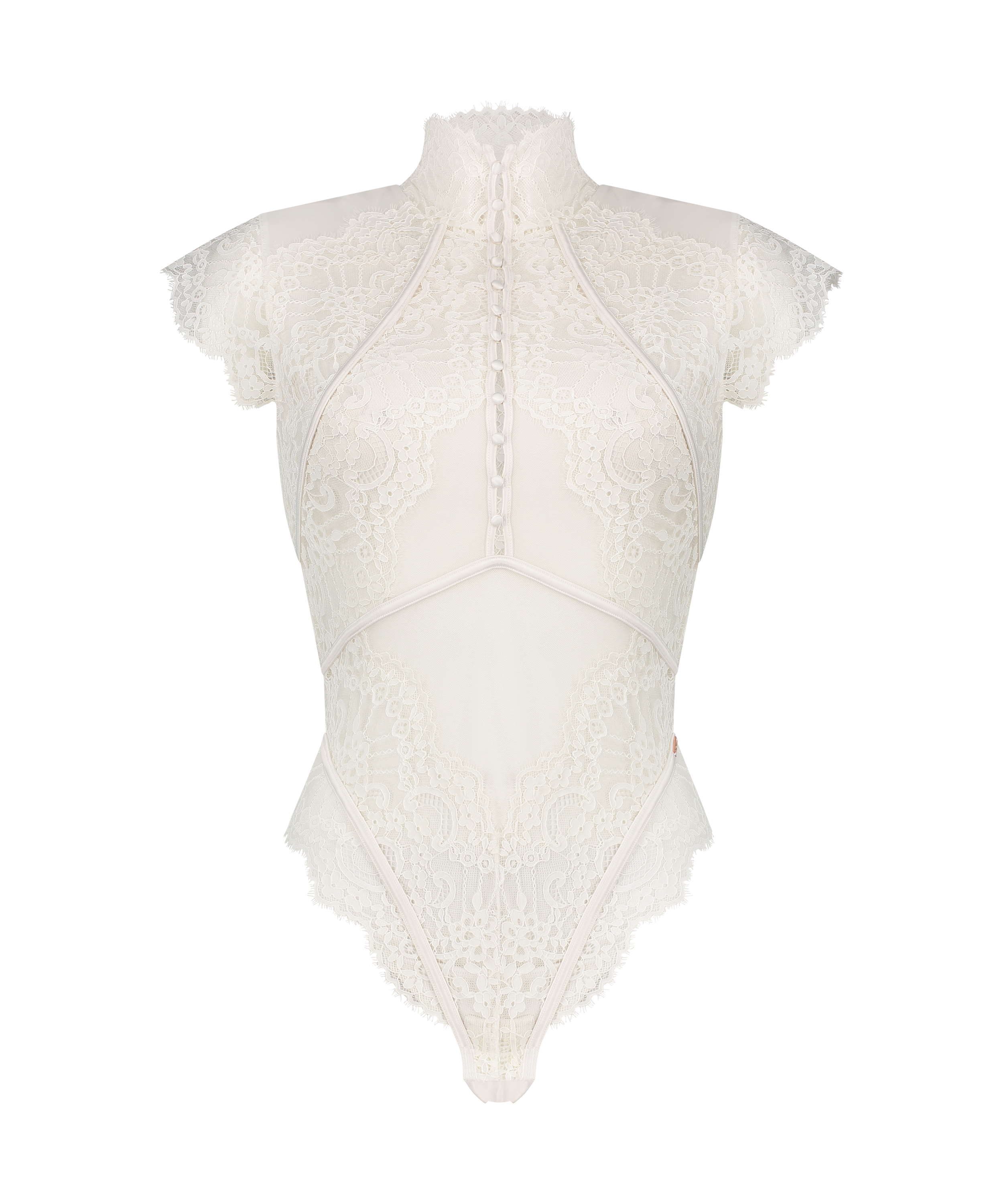 Amelia Body, Vit, main