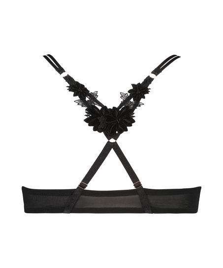 Kelsey vadderad push up-bh med bygel Lucy Hale, Svart