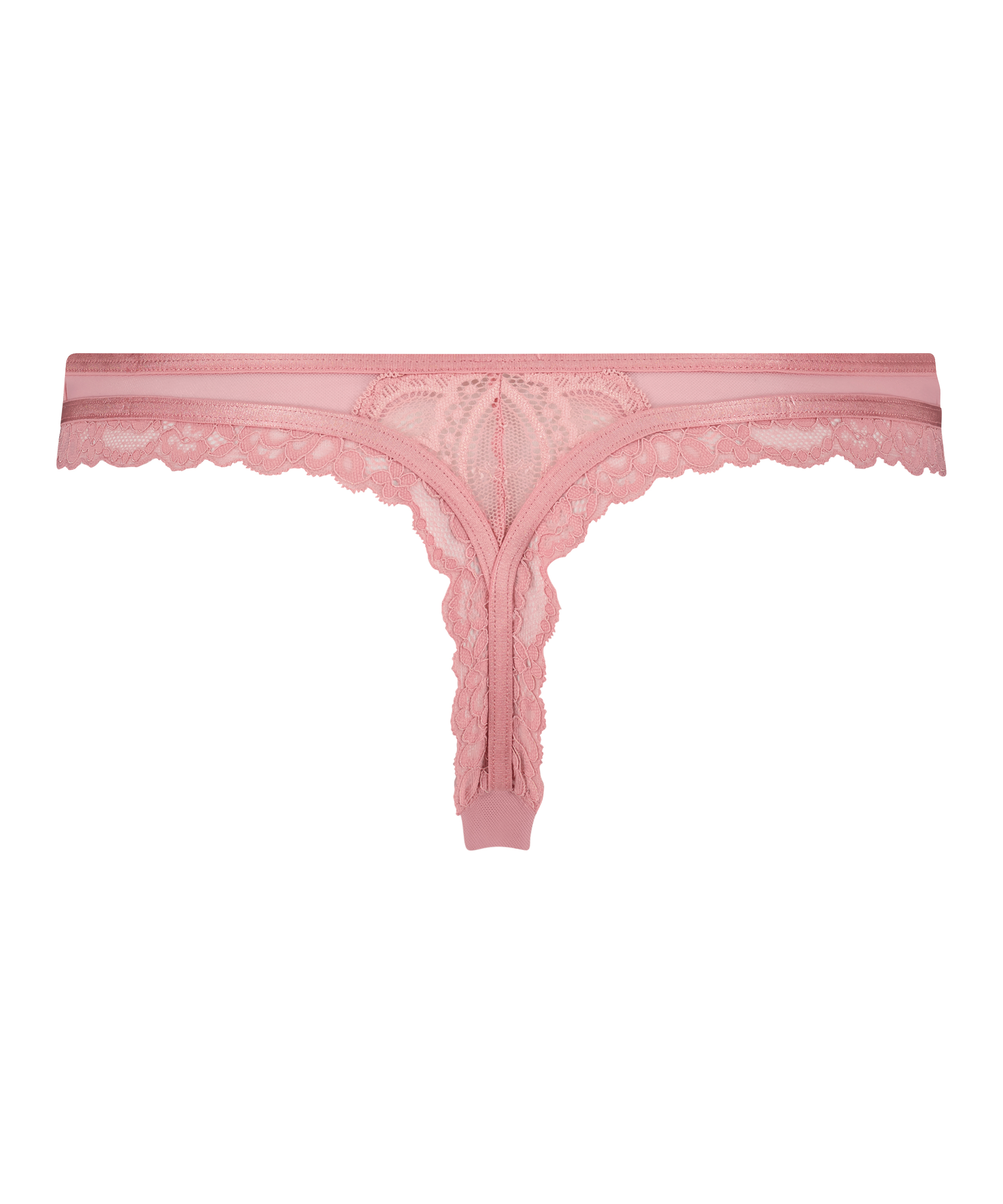 Cia stringtrosa, Lila, main